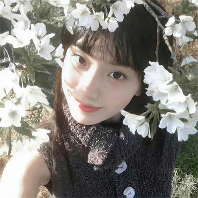 小树的天空